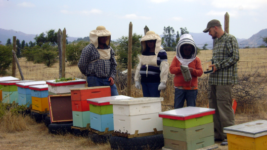 Con il gruppo 'Abejas' de El Llano.