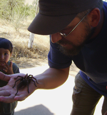 Ho trovato con dei bambini questa Grammostola Porteri.