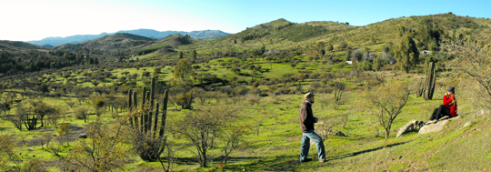 <a href=' 	http://www.marcofintina.com/public/upload/download/barbarrubia.jpg'>Secano verde di giugno a Barba Rubia. Con Nives.</a><br />
<br />