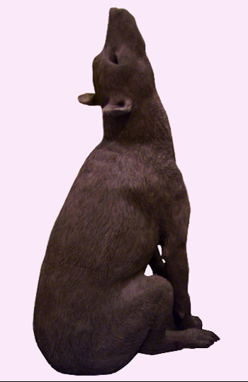 Cane
