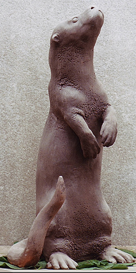 Lontra