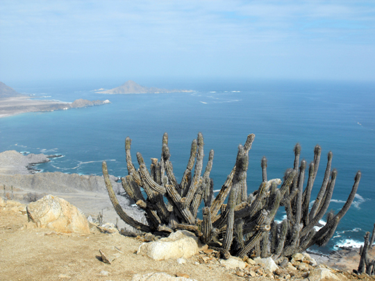 Mirador dall'abisso sull'oceano.