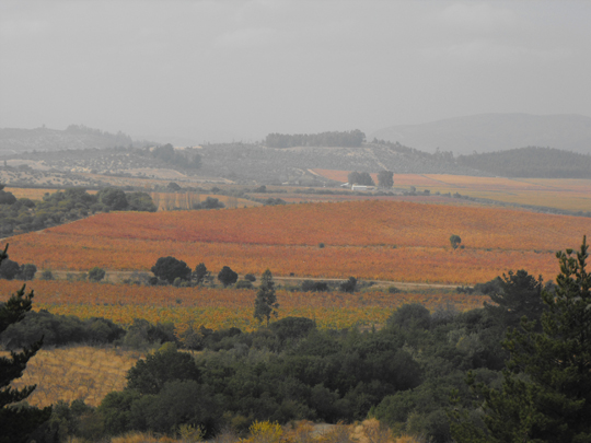 Le vigne di un autunno di vendemmia.
In quest'atmosfera ritroviamo i nostri compagni di squadra, imprigionati dal potere, ritornati allefficienza Crate. 